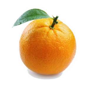 پرتقال جنوب درجه یک بسته ۱ کیلوگرمی